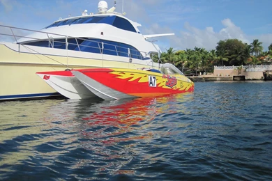 Sheer Tenacity: Power Boat Paw Paws Of Trini