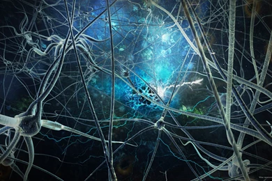 Download Texture Neuron Spark Digital Art And Gns Neusenz ...