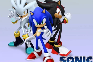 Sonic The Hedgehog Sega Silver Hedgehog Wallpapers   (