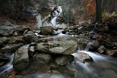 Motion Desktop Backgrounds