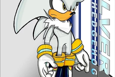 Silver The Hedgehog Silver The Hedgehog Fan Art 29370798 376653 ...