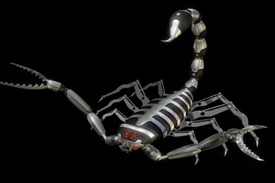 Scorpio Wallpapers   Wallpapers Cave