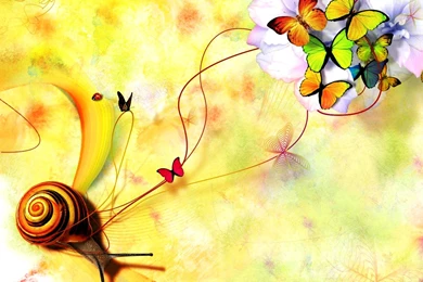 Making More Impressions With Animated PC Wallpapers: Pictures For ...