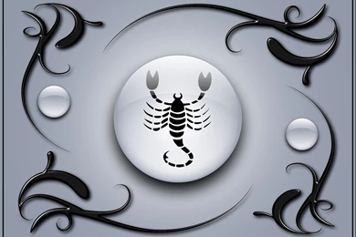 Scorpio On A Gray Backgrounds With Black Ornaments Wallpapers And ...