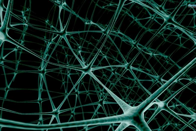 Web Wallpapers   Abstract Wallpapers