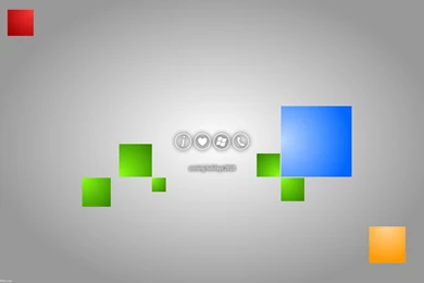 Orange, Flower, Macro, Photography (