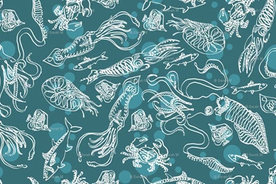 Squid Wallpapers Wallpapers Cave