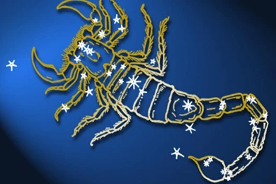 Scorpio Hd Wallpapers ›› Page 0