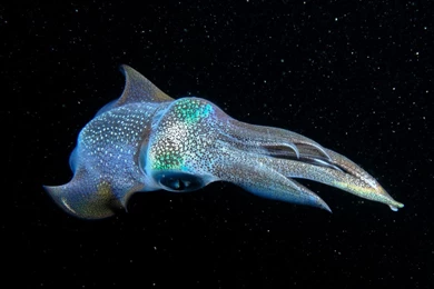 Outdoor Scenes Week 1 Wallpapers Traveler Photo Contest 2013 ...