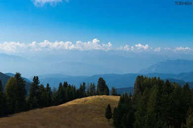 Wallpapers website background web singlescreen backgrounds images ...