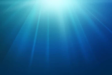 Download The Official PDC 2008 Wallpapers