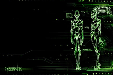 Cyberpunk Wallpapers By Kaoxita On DeviantArt