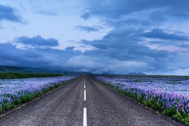 Highway Wallpapers For Mobile Htc Phone   Android Wallpapers Free ...