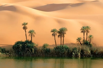 Just A Mirage Wallpapers, Just A Mirage Myspace Backgrounds, Just ...