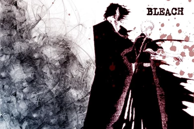 Bleach Quotes Zangetsu. QuotesGram