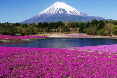 Fuji Mountain Wallpapers Top 20 Mount Fuji HD Wallpapers