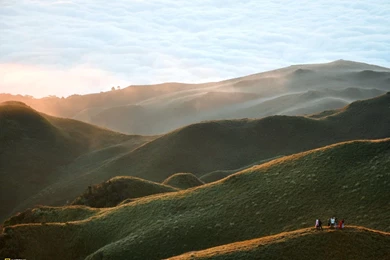 46407_1600x1200 wallpaper cb1326111372.jpg