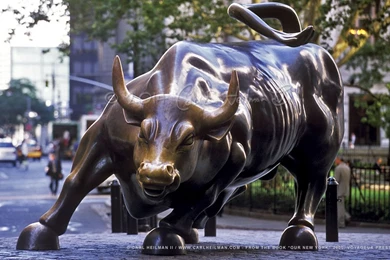 Stock Market Bull Wallpapers 106919