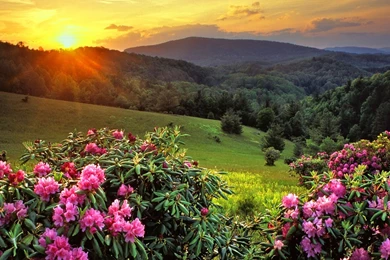 Scenery Wallpapers Hd   All Wallpapers New