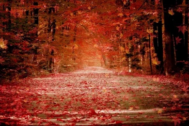 Animated Top HD Images