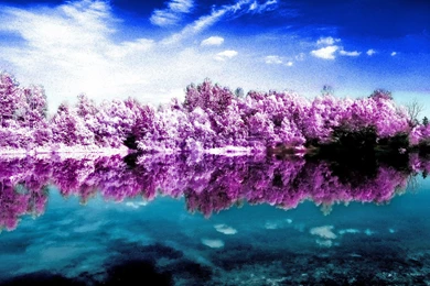 484 Scenic HD Wallpapers