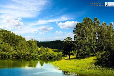 Beautiful Summer Scenery   Photo 388 Of 413