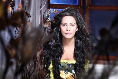 CELEBRITIES VIEW BUZZ: Poonam Pandey Bollywood Indian Famous ...