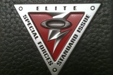 Oakley_elite_special_forces_emblem_by_skullfkr d4igocv.jpg