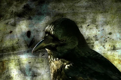 The Crow Wallpapers HD Download