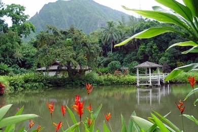 Nature Wallpapers For Mobile Free Download   HD Wallpapers And Pictures