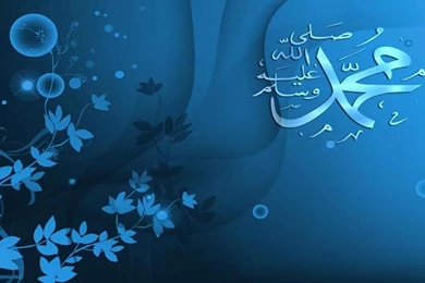 800x480 Popular Mobile Wallpapers Free Download