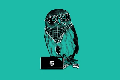Hipster Owl, Simple, Minimalistic, 1920x1080 HD Wallpapers And FREE ...