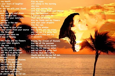 GABBY WALLPAPER ENGLISH VERSION   Leroy Jethro Gibbs Wallpapers ...