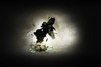 Immersive Garden – Crow Widescreen Wallpapers