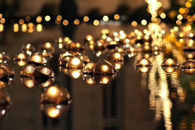 Photography   Page 318