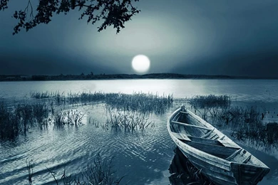 Wallpapers Pictures Photos: Best Pictures