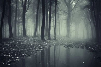 Creepy Backgrounds Pictures   Wallpapers Cave