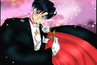 Tuxedo Kamen On SailorPlanet   DeviantArt