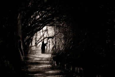 Dark Grim Reaper Horror Skeletons Skull Creepy L Wallpapers ...