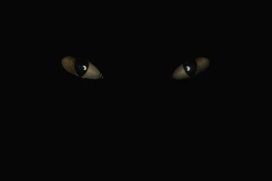 Creepy Eyes Dark Wallpapers