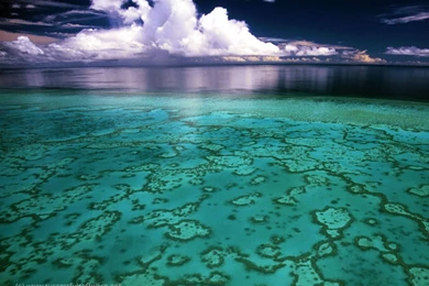 Best_Great _Barrier _Reef _hd _Wallpapers.jpg
