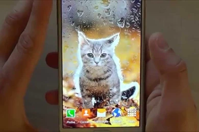 Cute Animals Live Wallpapers   Free Animated Screensaver For ...