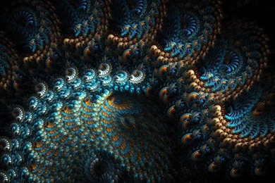 Coral Reef Wallpapers   (