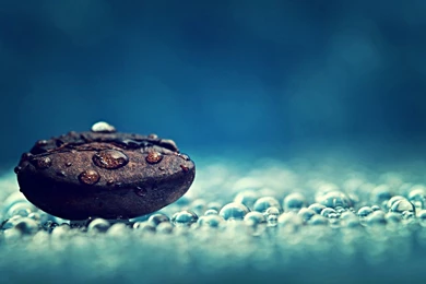 Water Drops HD Wallpapers