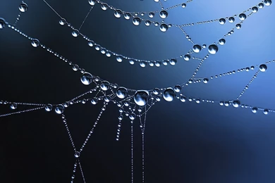 Water Drop HD Wallpapers   Wallpapers Cave