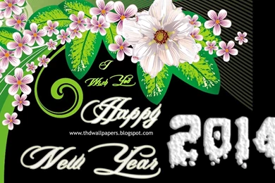 Wishing You a Happy New Year 2014 HD Widescreen.jpg