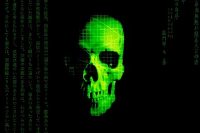 Digital Matrix Skulls HD Wallpapers Wallpapers   (