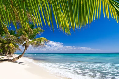 Caribbean Beach Awesome Wide Wallpapers