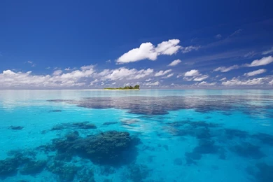 Download Tubbataha Reef Wallpapers 1200x795