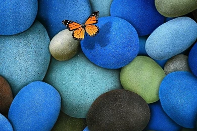 Download Beautiful Pebbles And Butterfly Wallpapers For Samsung ...